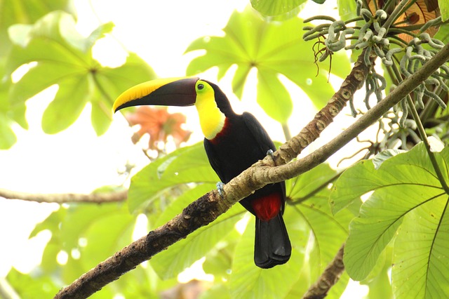 Ecoturismo Costa Rica