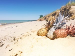 piñas en la playa