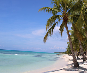 Ofertas de viajes con vuelo + hotel: Playa paradisiaca en Punta Cana