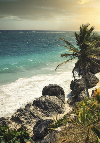 Ofertas de vacaciones en Riviera Maya: Playa en Riviera Maya